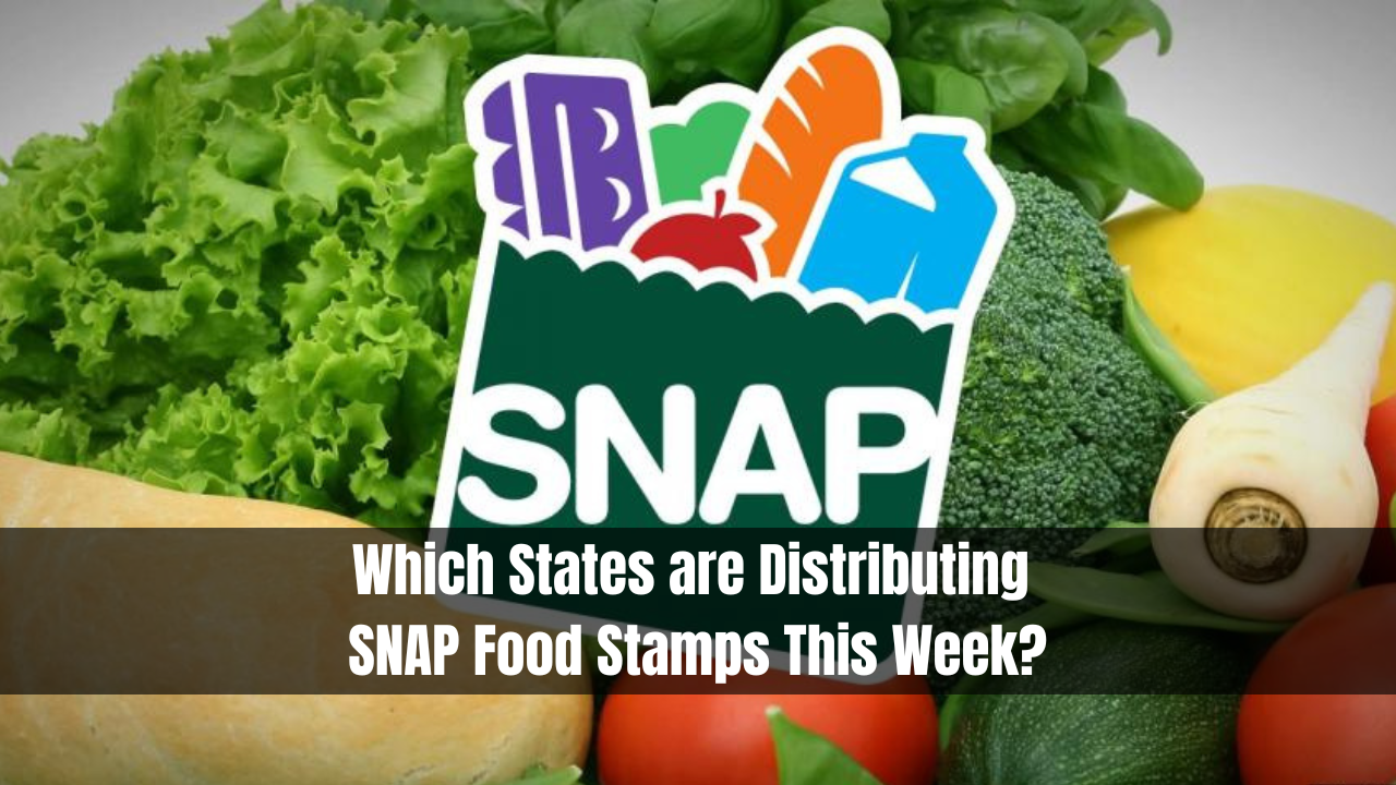 Which States are Distributing SNAP Food Stamps This Week?