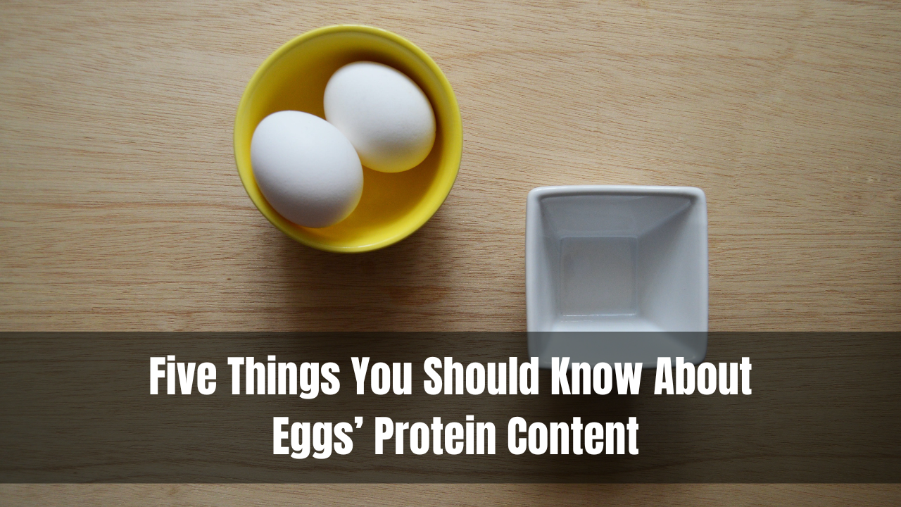 Five Things You Should Know About Eggs Protein Content