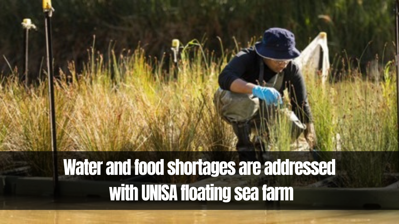 Water and food shortages are addressed with UNISA floating sea farm