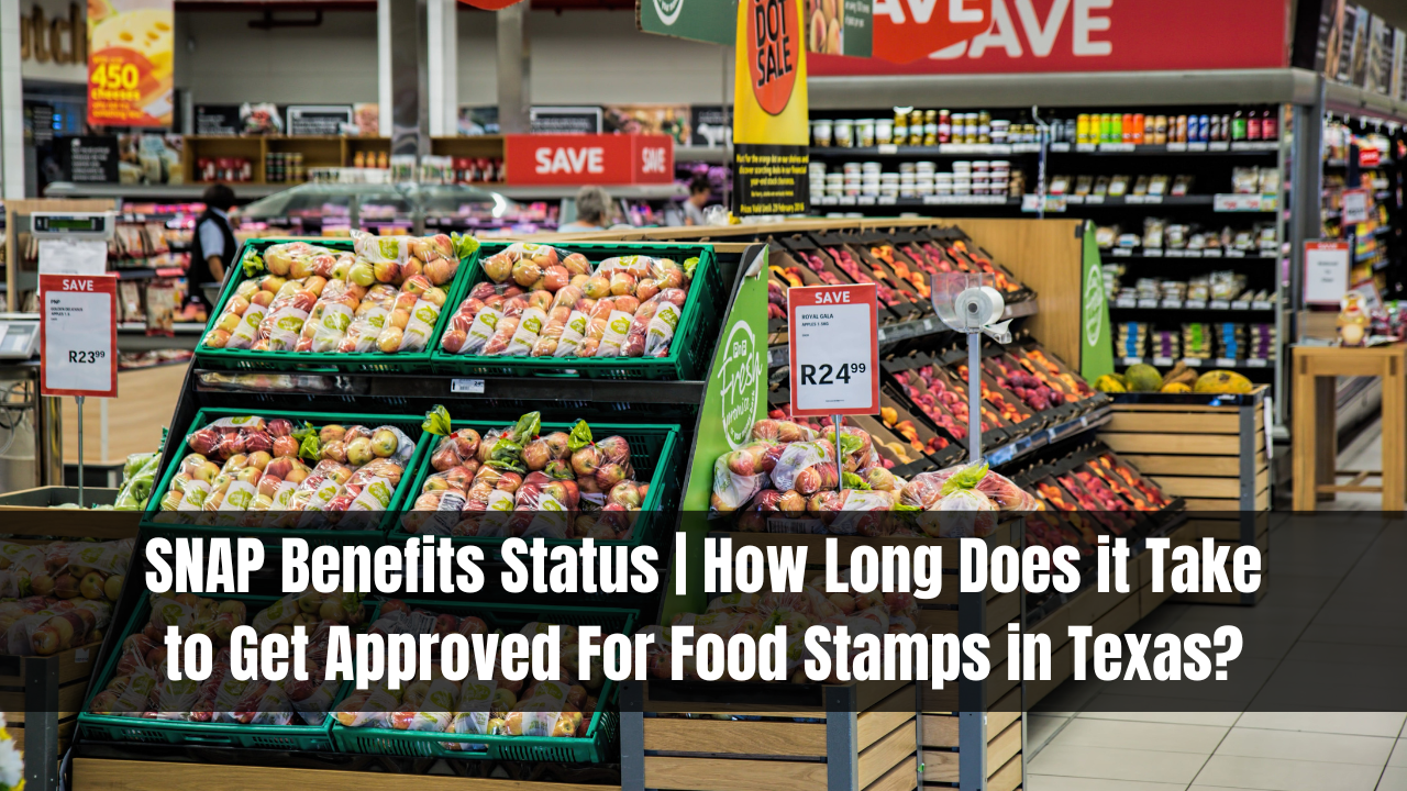 SNAP Benefits Status | How Long Does it Take to Get Approved For Food Stamps in Texas?