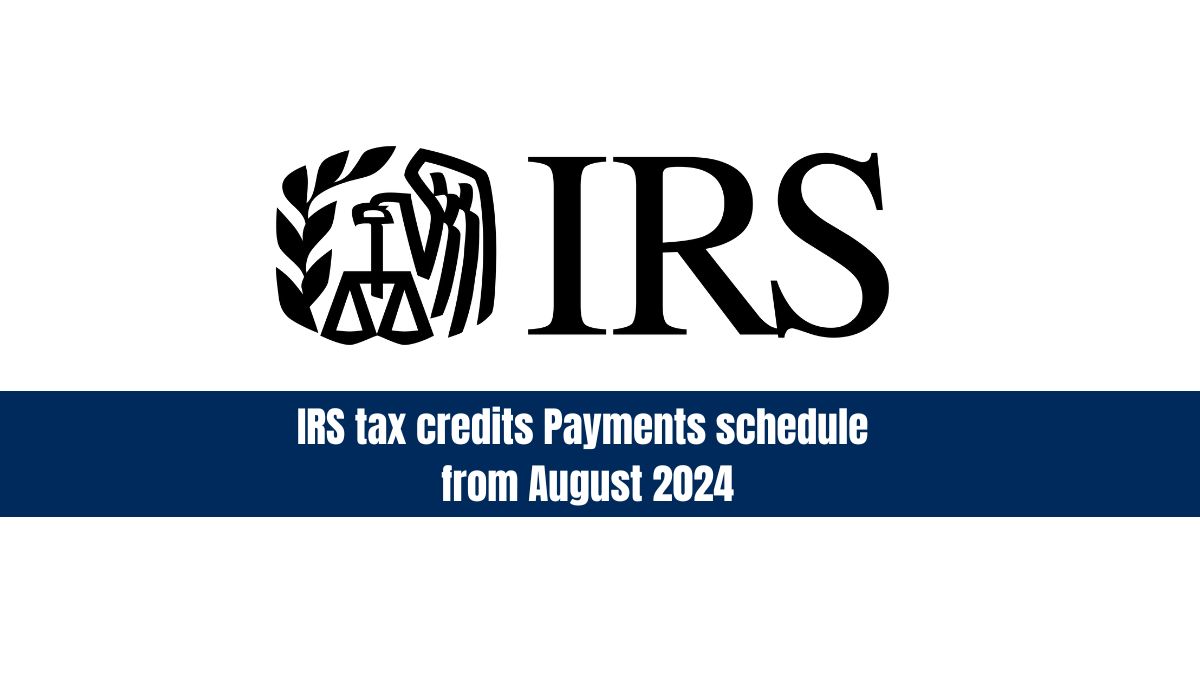 https://zastudentsportal.co.za/irs-tax-credits-payments-schedule-from-july-in-7-days/